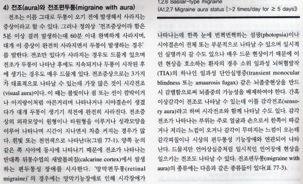 편두통 조짐의 임상적 특징 요약