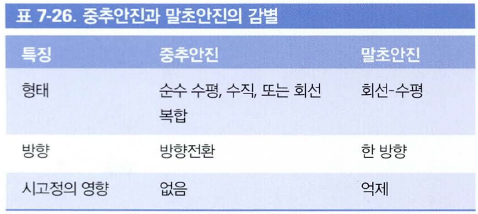 말초성과 중추성 안진의 감별 표