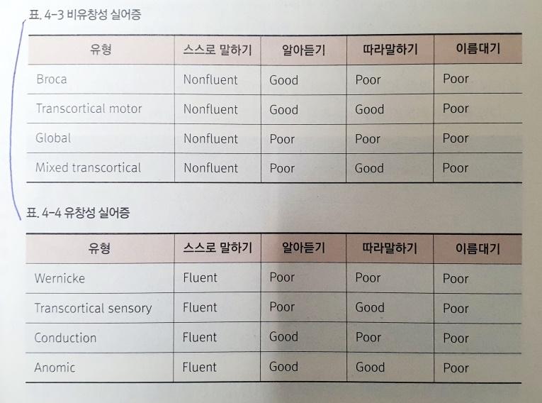 실어증 감별 진단 흐름도: 유창성, 이해력, 따라말하기 능력에 따른 분류표