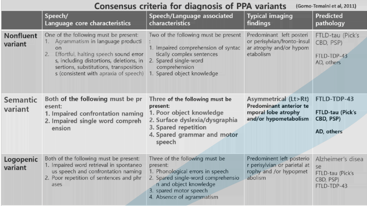 Imaging features of PPA
