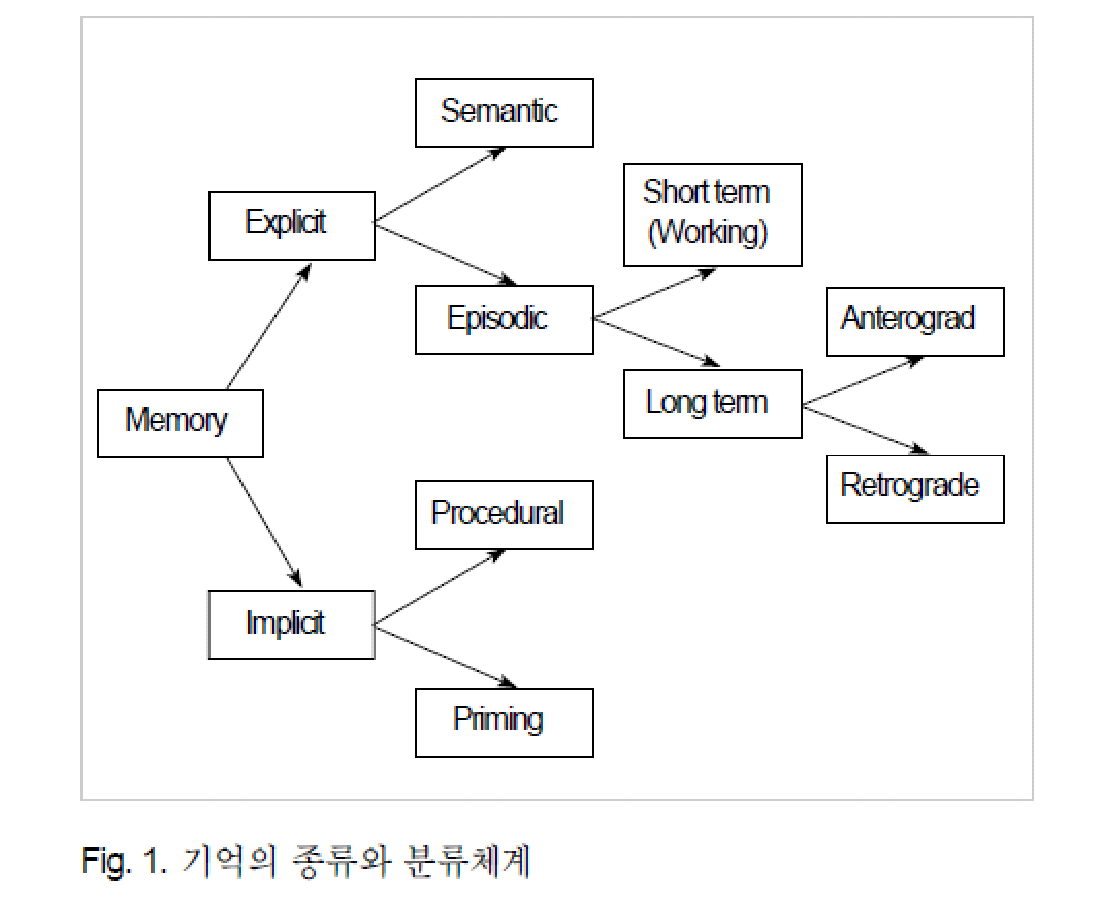 뇌의 측면도: 전전두엽, 내측두엽, 해마 등 기억과 관련된 주요 뇌 구조물의 위치를 나타내는 해부학적 그림
