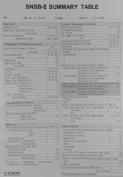SNSB-II 검사 구성 표