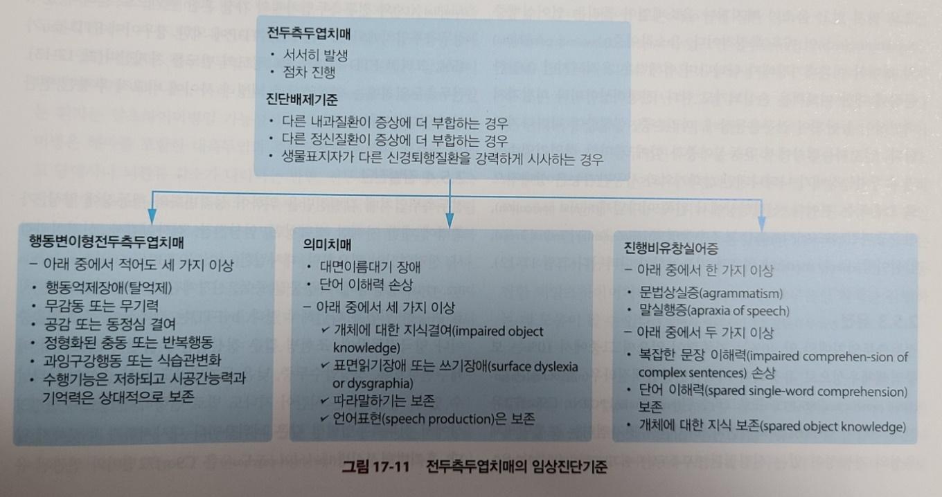 전두측두엽치매의 임상진단기준 요약표. bvFTD(행동억제장애, 무감동, 공감 결여, 반복행동, 과잉구강행동, 수행기능 저하), 의미치매(대면이름대기 장애, 단어 이해력 손상), 진행비유창실어증(문법상실증, 말실행증)의 세부 진단 항목이 나열됨