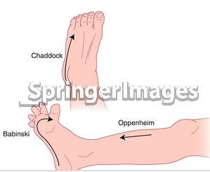 image22