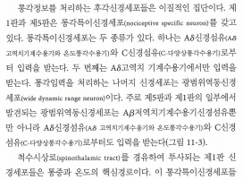 해설_이미지_1