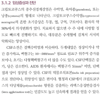 Cryptococcus의 병리 기전 및 영상 소견 비교