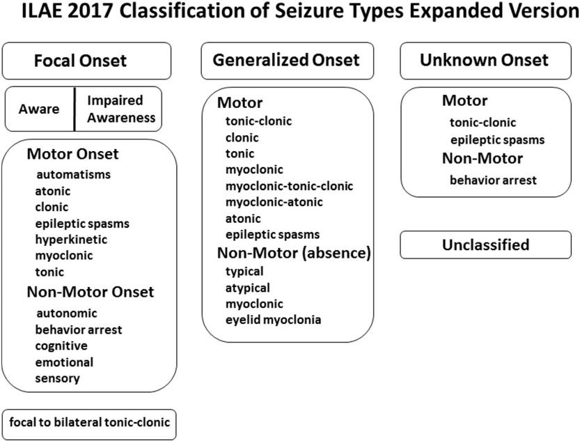 ILAE 2017 Classification of Seizure Types Expanded Version