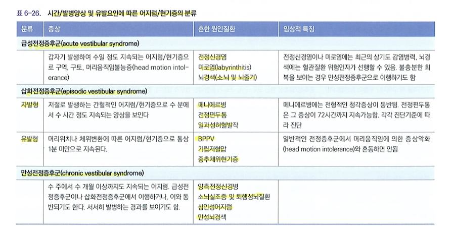 전정증후군의 분류 체계 표