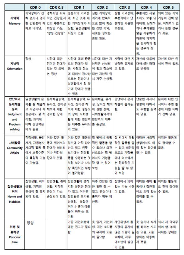 CDR 평가 척도 요약표