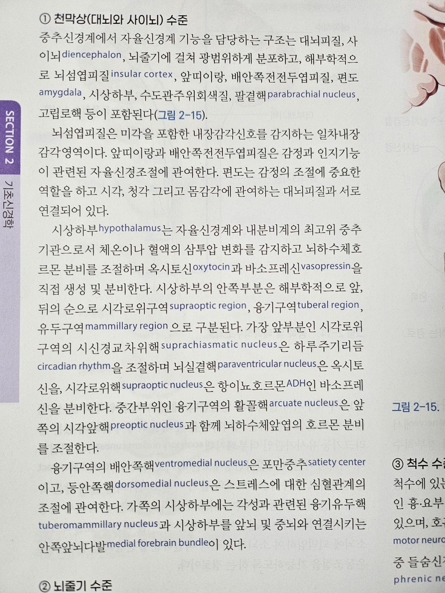 자율신경계 조절 중추